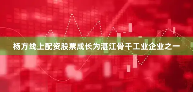 杨方线上配资股票成长为湛江骨干工业企业之一