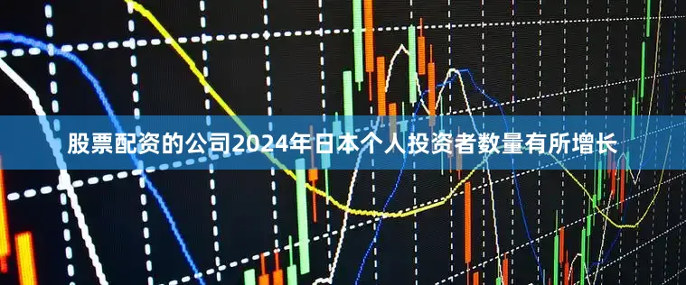 股票配资的公司2024年日本个人投资者数量有所增长
