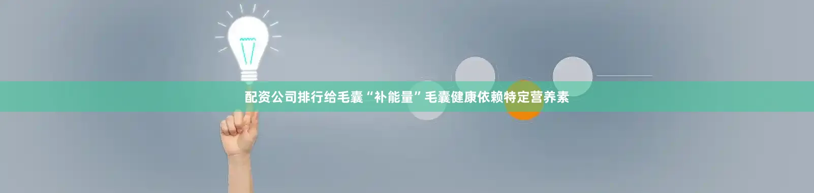 配资公司排行给毛囊“补能量”毛囊健康依赖特定营养素