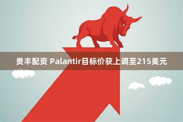 贵丰配资 Palantir目标价获上调至215美元
