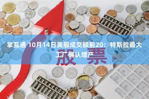 掌互通 10月14日美股成交额前20：特斯拉最大工厂确认增产