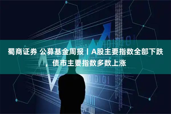 蜀商证券 公募基金周报丨A股主要指数全部下跌，债市主要指数多数上涨